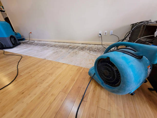Professional Water Damage Repair technician working in White Bluff, TN